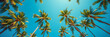 © icemanphotos - Green palm trees against blue sky and white clouds. Tropical jungle forest with bright blue sky, panoramic nature banner. Idyllic natural landscape, looking up, low point of view. Summer traveling