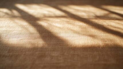 Fototapete - Warm light beautifully illuminates the intricate texture of leather, casting soft shadows and creating a sophisticated feel, perfect for elegant design applications