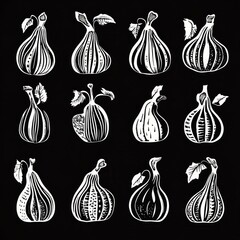 Black and white botanical gourd illustrations on black background.