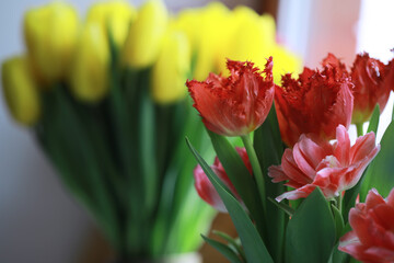 Wall Mural - Tulip flowers close-up in a vase. Mothers Day.