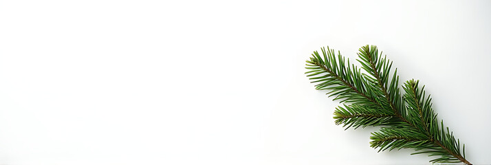 Wall Mural - a christmas tree branch adorns the corner, while a simple pine branch sits atop a clean white backdr