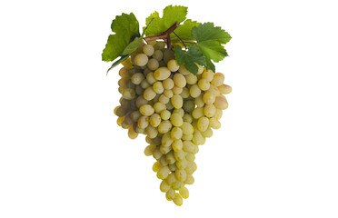 Wall Mural - a bunch of white grapes with leaves