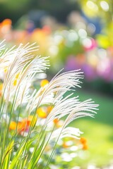 Wall Mural - sunlit grass with bokeh floral background in garden