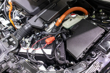 Fototapete - focused on the automotive industry within the contemporary new automobile engine room, machine displays all components and has an open hood. the new car's engine compartment.