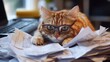 © Iaroslav - Adorable ginger cat peacefully sleeping on important papers and wearing glasses, symbolizing relaxation after a productive day funny meme style