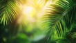 © liliyabatyrova - Sunlight filters through the dense canopy, illuminating the rich green foliage that thrives in the tropical forest's tranquil environment