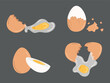 © Nataliya Pokrovska - Set of chicken eggs. Hand drawn vector illustration in flat style. Whole brown eggshell eggs, boiled, fried eggs, yolk, broken eggshells. Concept of tasty breakfast, farm, cooking