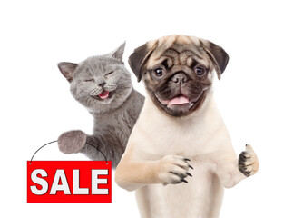 Aufkleber - Happy cat and Pug puppy look at camera. Dog shows thumbs up gesture. Kitten  shows signboard with labeled 