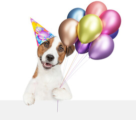 Aufkleber - Funny jack russell terrier puppy wearing party cap holding balloons above blank white banner and looking at camera. isolated on white background