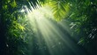 © pornchan - Tropical forest ecosystem with visible moisture in the air and sunlight driving transpiration