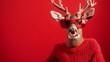 © Pichapob - Stylish Deer in Oversized Red Sweater and Sunglasses Against Red Background