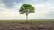 © Prim2513 - forestry industry concept. Lone tree stands in a barren field under a cloudy sky, symbolizing resilience and nature.