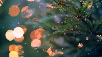 Wall Mural - merry christmas and happy new year background, close up, elegant christmas tree on blurred snowfall 