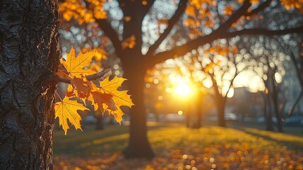 Poster - A tree with a yellow leaf on it in a park