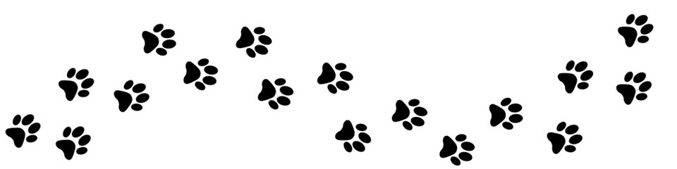 Foot trail print of Dog. Dog walk foot print. Black cat Paw Prints. Black Paw print foot trail of animal on transparent background. Paw print of Cat isolated on transparent background