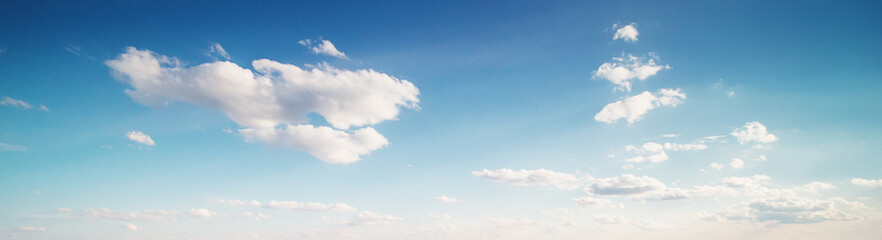 Wall Mural - beautiful sky morning