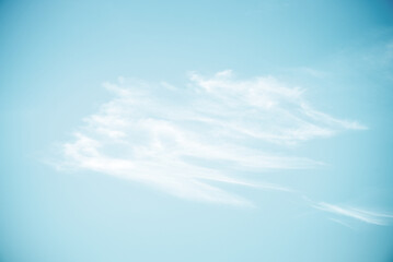 Wall Mural - Clear blue sky and white clouds