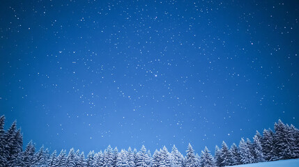 Wall Mural - Starry night sky above snow-covered pine forest in winter