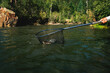 © Andrew Kornylak - A fisherman nets a trout from the waters of the Pecos River, New Mexico, low shot
