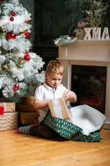 happy little boy enjoying Christmas time by tree