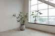 © otterspeer.com Stock - Empty room with plants, a large window, and concrete floor.  Modern industrial style.