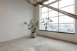 © otterspeer.com Stock - Unfinished room with large window, plants in gray pots.  Concrete floor, white walls. Industrial style.