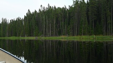 Wall Mural - View from a canoe drifting on a calm northern river reflecting thick evergreen forest

