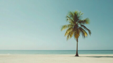 Tranquil Tropical Beach Scene with a Solitary Palm Tree