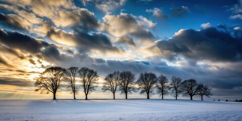 Wall Mural - Stark winter landscape with silhouetted trees under dramatic skies, winter, stark, landscape, trees, silhouetted, dramatic, skies