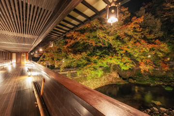 Wall Mural - Yoshina River Autumn Night Scenery