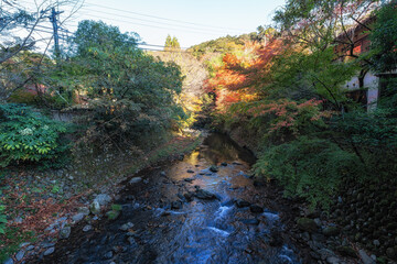 Wall Mural - Autumn Foliage over Yoshina River