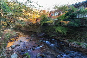 Wall Mural - Autumn Foliage over Yoshina River