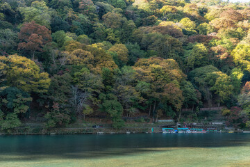 Wall Mural - Katsura River during Autumn