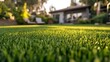 © Sinechana - 67.A close-up of a freshly mowed backyard lawn with finely trimmed grass, appearing soft and thick. The lawnâ€™s vibrant green color contrasts with the subtle shadows cast by each blade, creating a