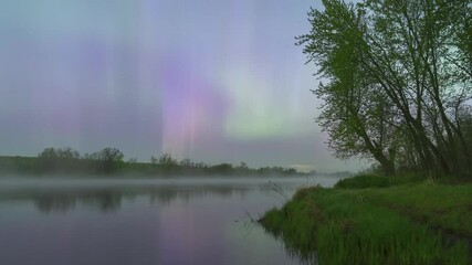 Wall Mural - Purple aurora curtains blowing over and fog drifting on the St. Croix River in USA. Timelapse view.