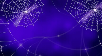 spider web with dew drops