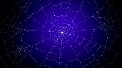 spider web with dew drops