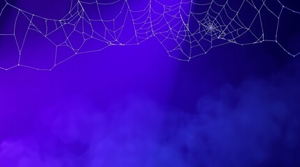 spider web with dew drops