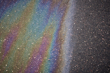 Wall Mural - Gasoline or oil spill creating rainbow sheen on asphalt road surface