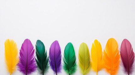 Sticker - Row of colorful feathers on a white background. The feathers are of different colors, including purple, green, yellow, and orange. Concept of vibrancy and diversity