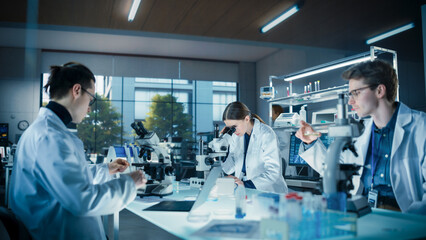 Wall Mural - Young Team of Medical Researchers Sitting Behind a Table, Using Microscopes for Medical Pharmaceutical Research and Treatment Development. Specialists Working in a Modern Laboratory