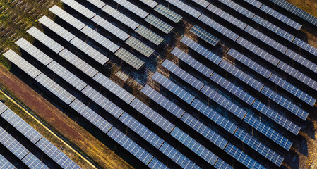 Wall Mural - large field of solar panels is shown from above