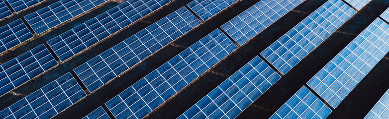 Wall Mural - row of solar panels are shown in a blue color