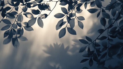 Wall Mural - softly illuminated leaves casting gentle shadows on a tranquil background creating a serene and calm