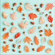 © Sumet - Vibrant Autumn Leaves and Acorns on a Soft Mint Background in a Flat Lay Arrangement