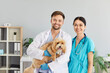 © Studio Romantic - Portrait of a happy smiling veterinarian doctor with nurse in uniform holding dog animal and looking cheerful at camera standing in modern vet clinic. Veterinary aid and care concept.