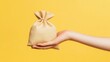 © 69 - A hand giving a money bag with a confident gesture, isolated on a cheerful yellow background.