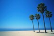 © Aashutosh Pandit - serene beach scene with palm trees under a clear blue sky