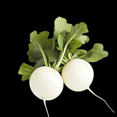 Wall Mural - radish isolated on blackbackground