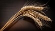 © netsay - Isolated Ear of Wheat Spikelet on Transparent Background Perfect for Agricultural Illustrations, Educational Materials, and NatureThemed Designs